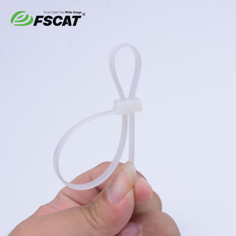 Double head cable tie,Double cable tie - Zhejiang Tolerance Electrical ...