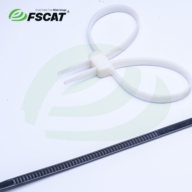 Double Loop Mounting Cable Ties,Mounting Cable Ties - Zhejiang ...